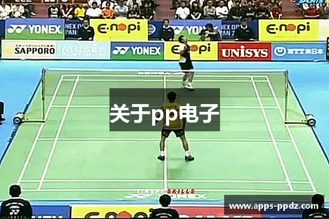 关于pp电子