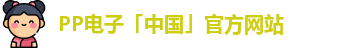 pp电子